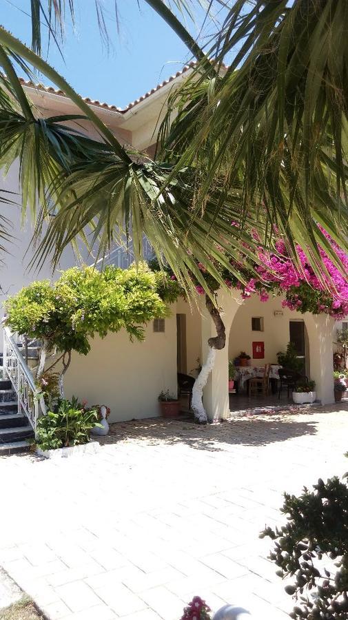 Canditas Studios تسيليفي المظهر الخارجي الصورة